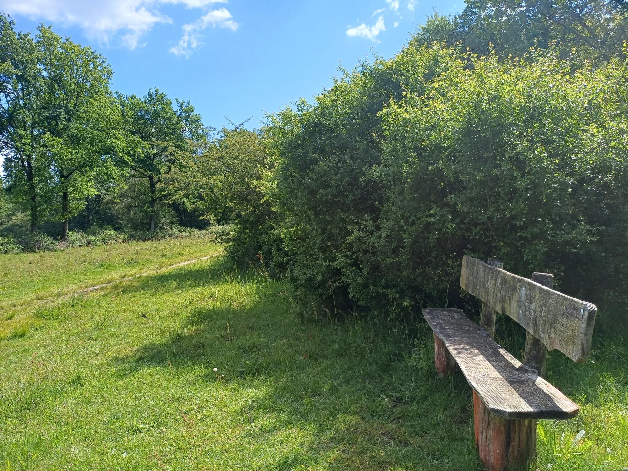 Wandelpad en houten bankje in de natuur bij Waalwijk